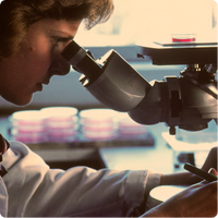 ISO9001/cGMP Certified Manufacturing