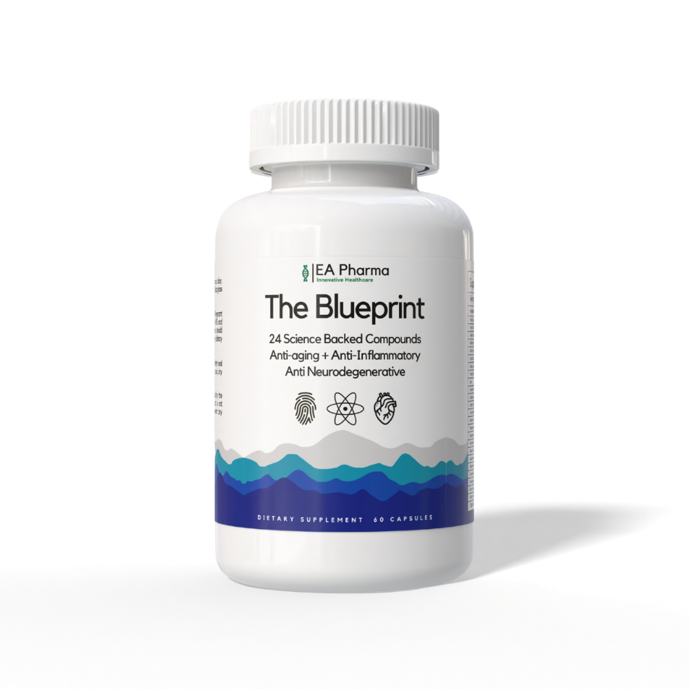 The Blueprint