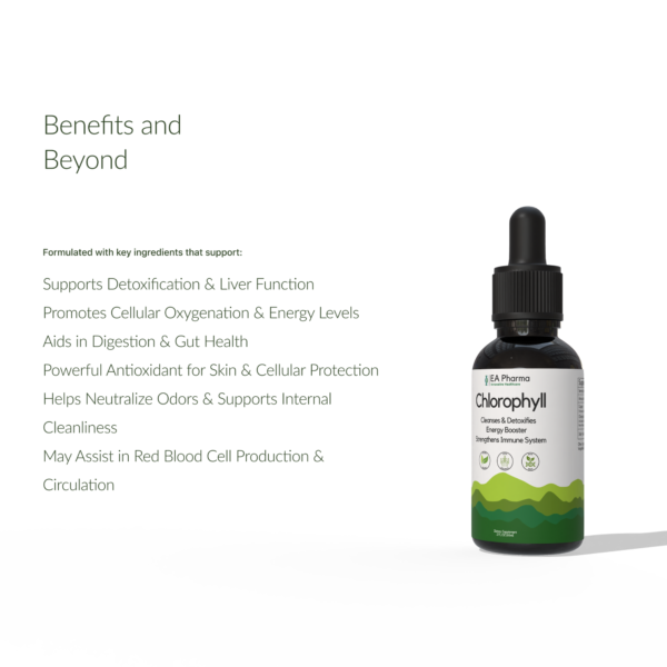 Chlorophyll Drops - Image 3